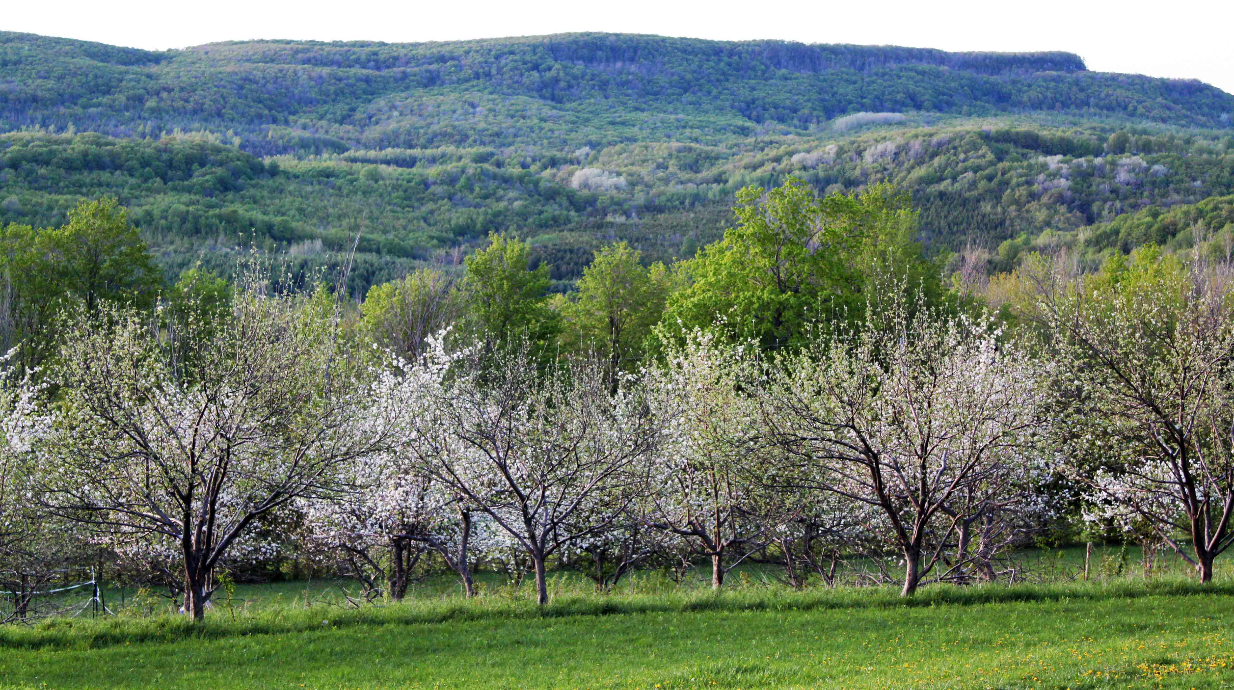 Pretty River Valley Inn Orchard